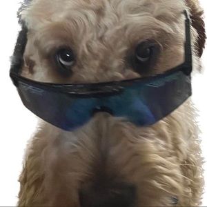 Meet your Posher, Tracy dawn